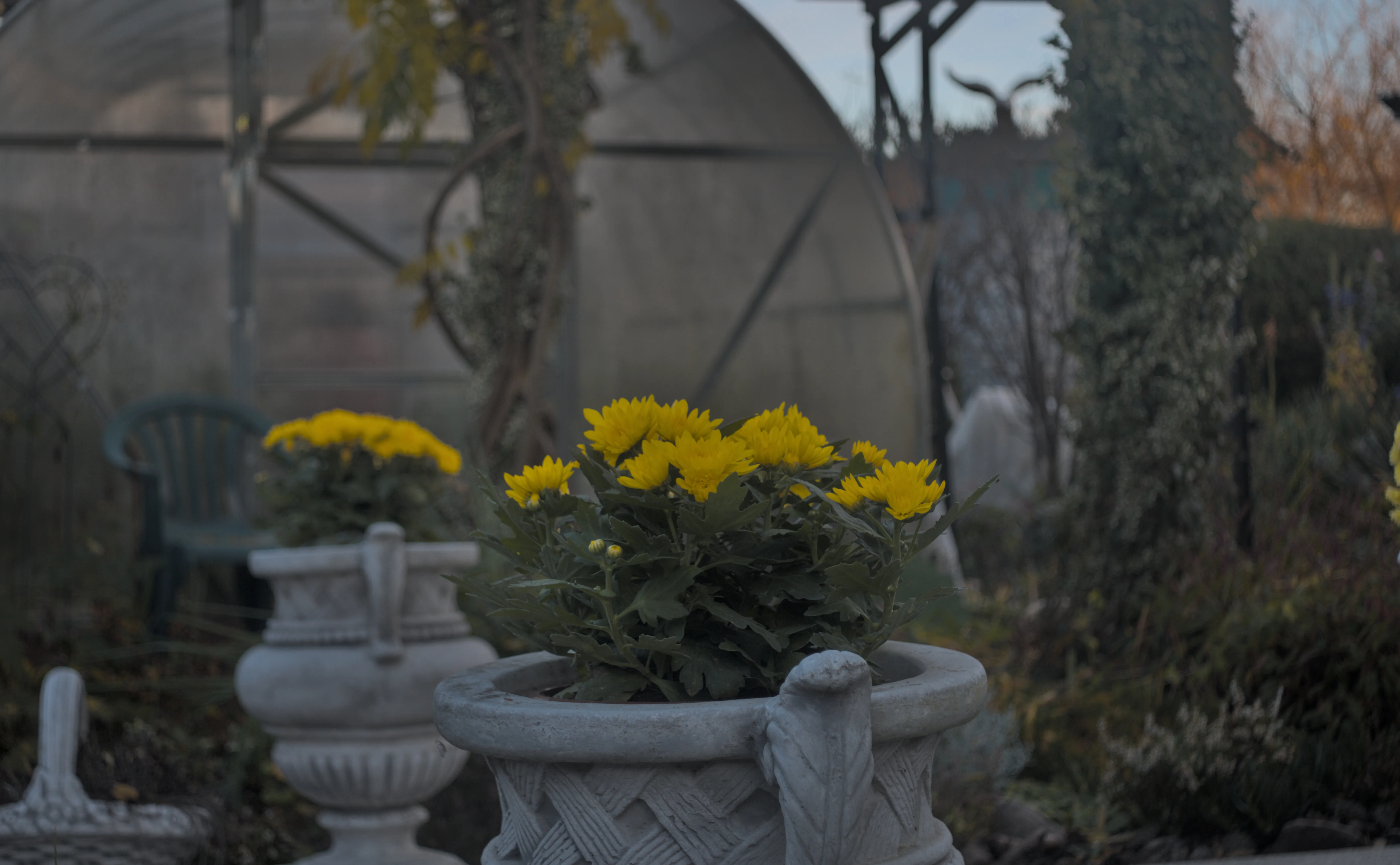 Meyer-Optik Görlitz Primagon 35mm f4.5 (M42) - _I4A9914.webp